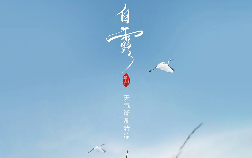 White Dew | The 24 traditional Chinese solar terms