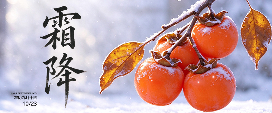 Grass and trees shake dew into frost | frost of the twelve solar terms